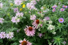 20150728_182445__800x450_