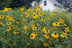 20150806_185659