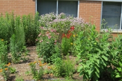 IMG_0230-640x480