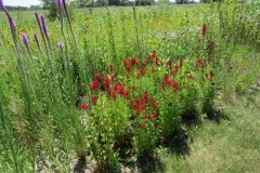 IMG_0319-640x480