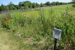 IMG_0323-640x480
