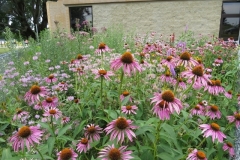 IMG_0384-640x480