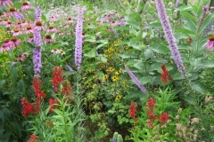 IMG_0386-640x480