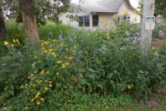 dscn2567__800x600_